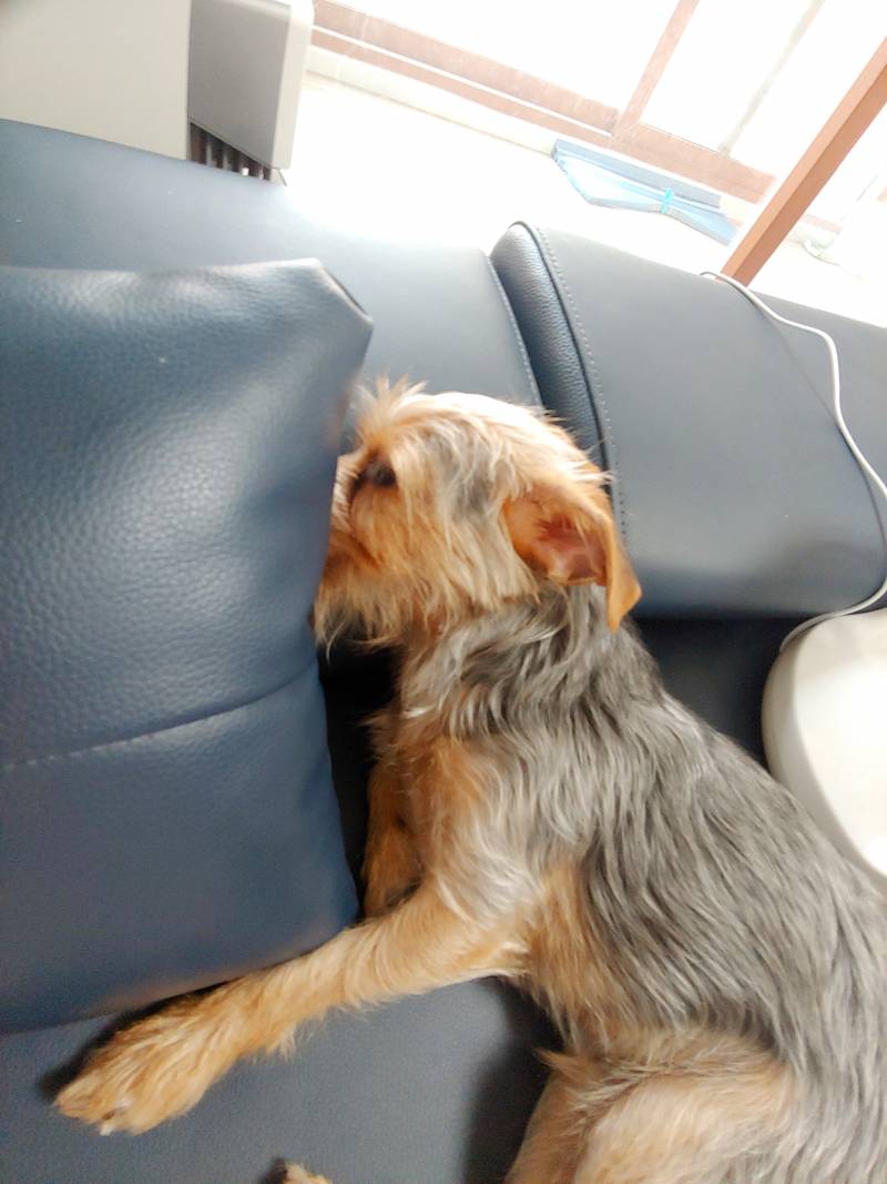 왜 이러고 자냐ㅋㅋㅋㅋ | 인스티즈