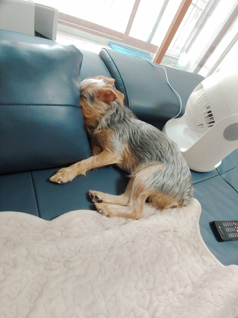 왜 이러고 자냐ㅋㅋㅋㅋ | 인스티즈