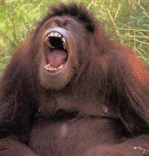 에어팟 기다려라ㅏㅏ | 인스티즈