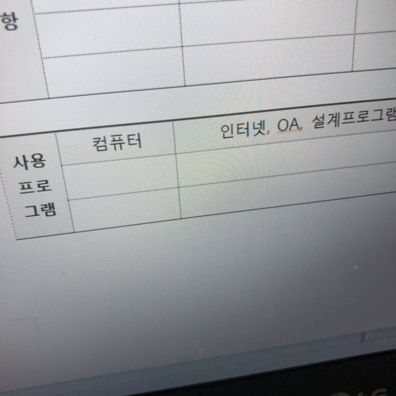 이력서 잘 아는 익들아 이거 뭘 쓰라는 거야? | 인스티즈