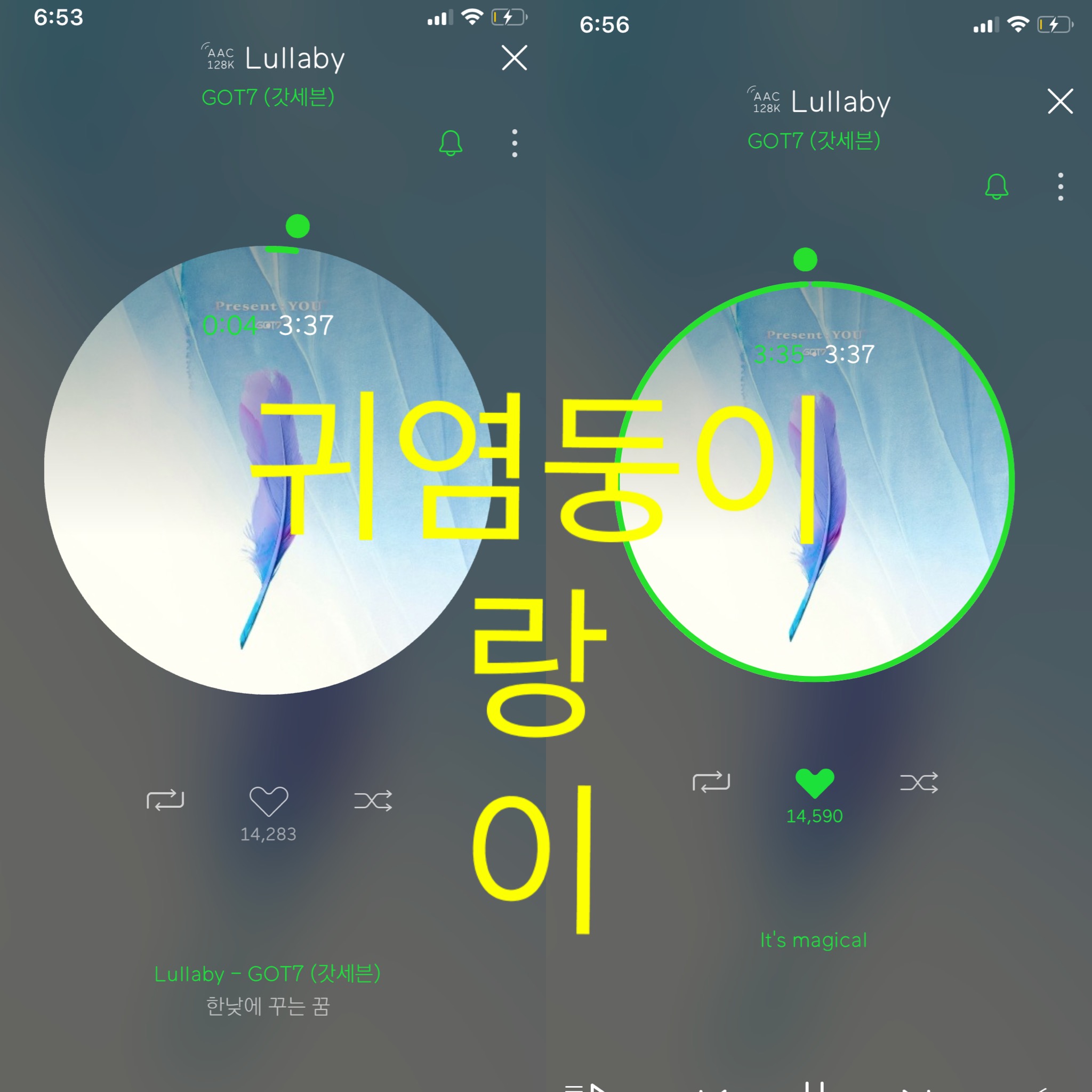 새들아 여기 선물 !!!!!!!💚 | 인스티즈