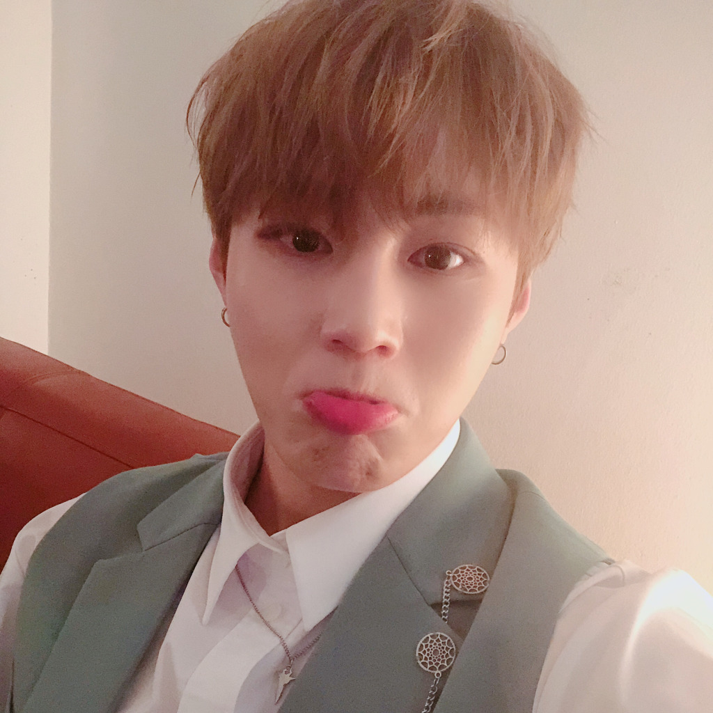 하성운 공카 프사 바꾼 거 세상 귀여움 | 인스티즈