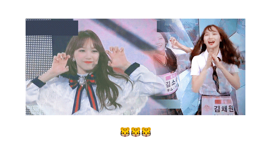 아이즈원 김채원 울림걸즈 김채원 그냥 모든 김채원 사랑해ㅋㅋ | 인스티즈