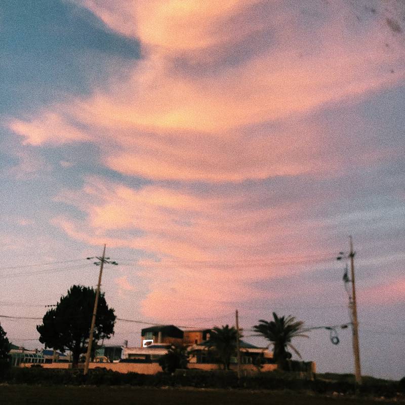 제주도 간다면 우도를. 꼭. 가시오. 💚 | 인스티즈