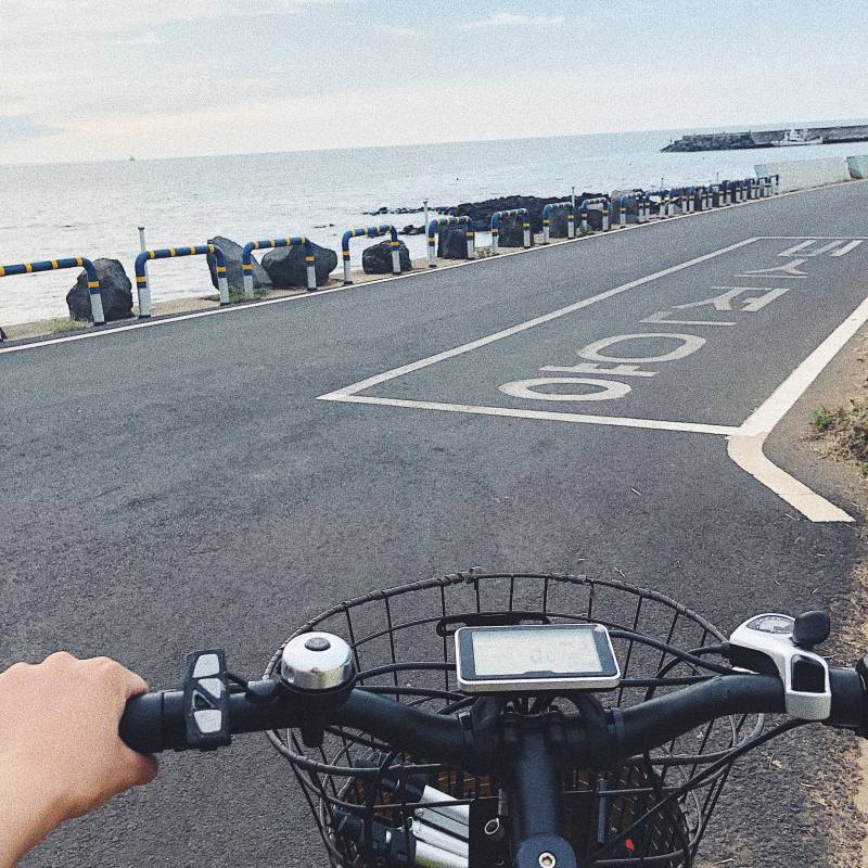 제주도 간다면 우도를. 꼭. 가시오. 💚 | 인스티즈