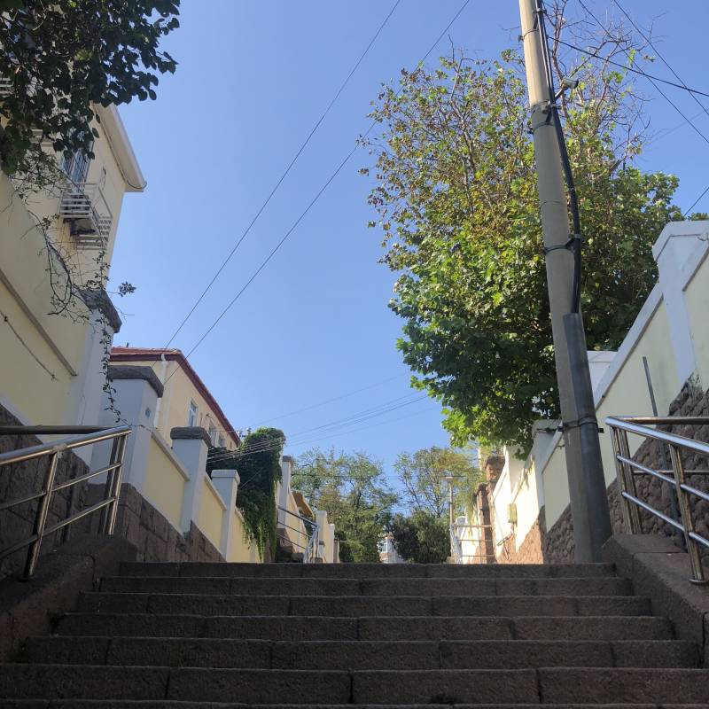 쓰니 오늘 동화 속에 들어갔다 나왔다 4040 | 인스티즈