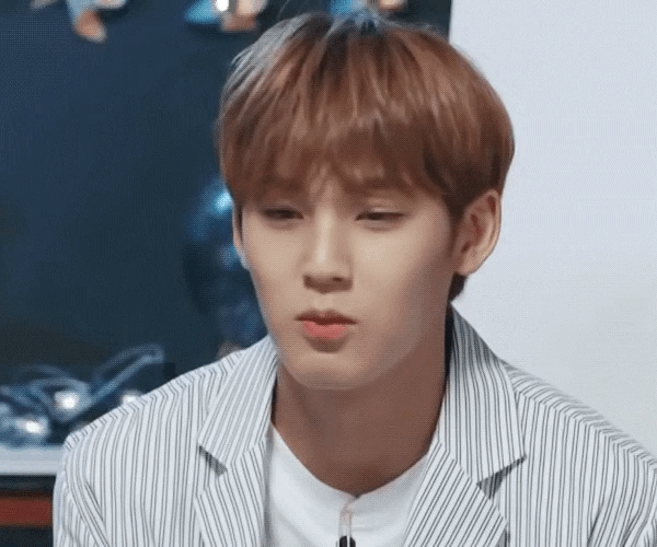 제 최애 보고 가주세요 | 인스티즈