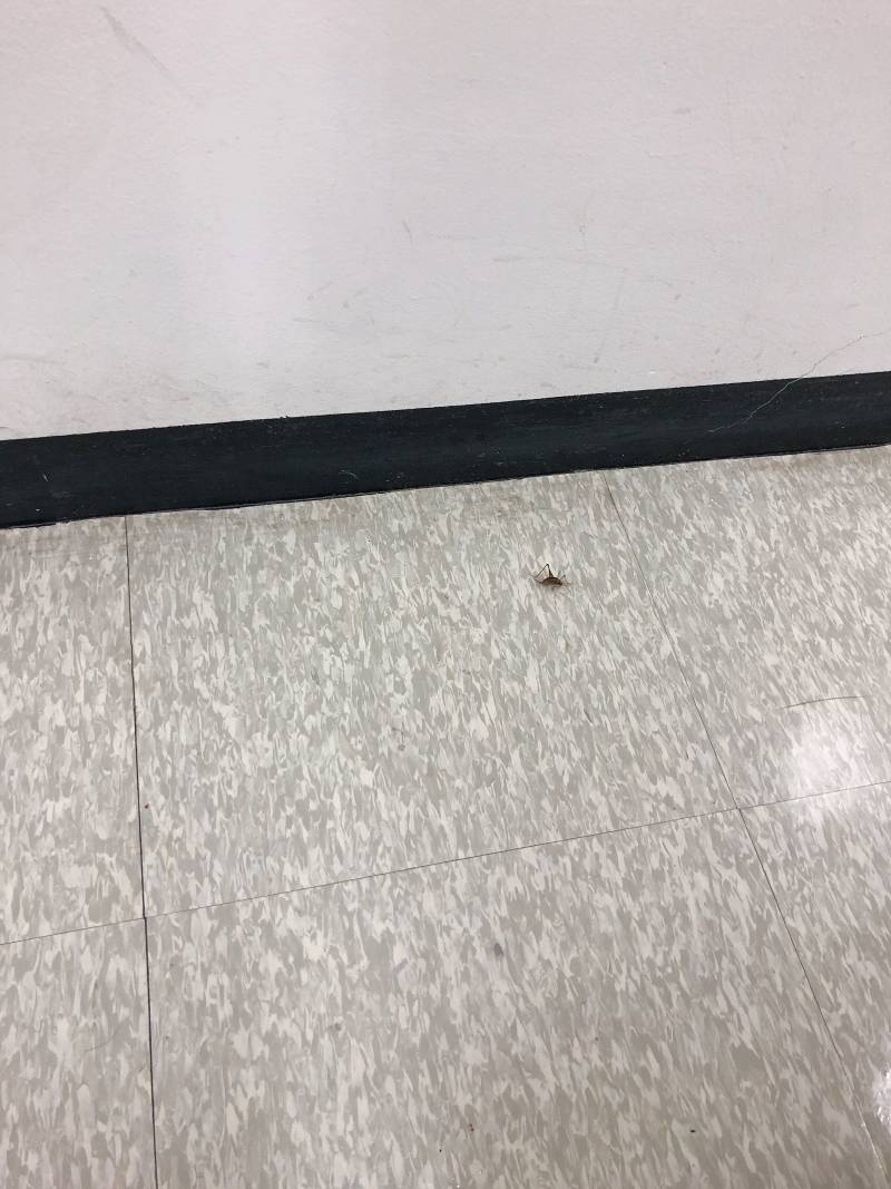 독서실에서 공부 안하면 안되는 이유 ㅎㅇㅈㅇ | 인스티즈