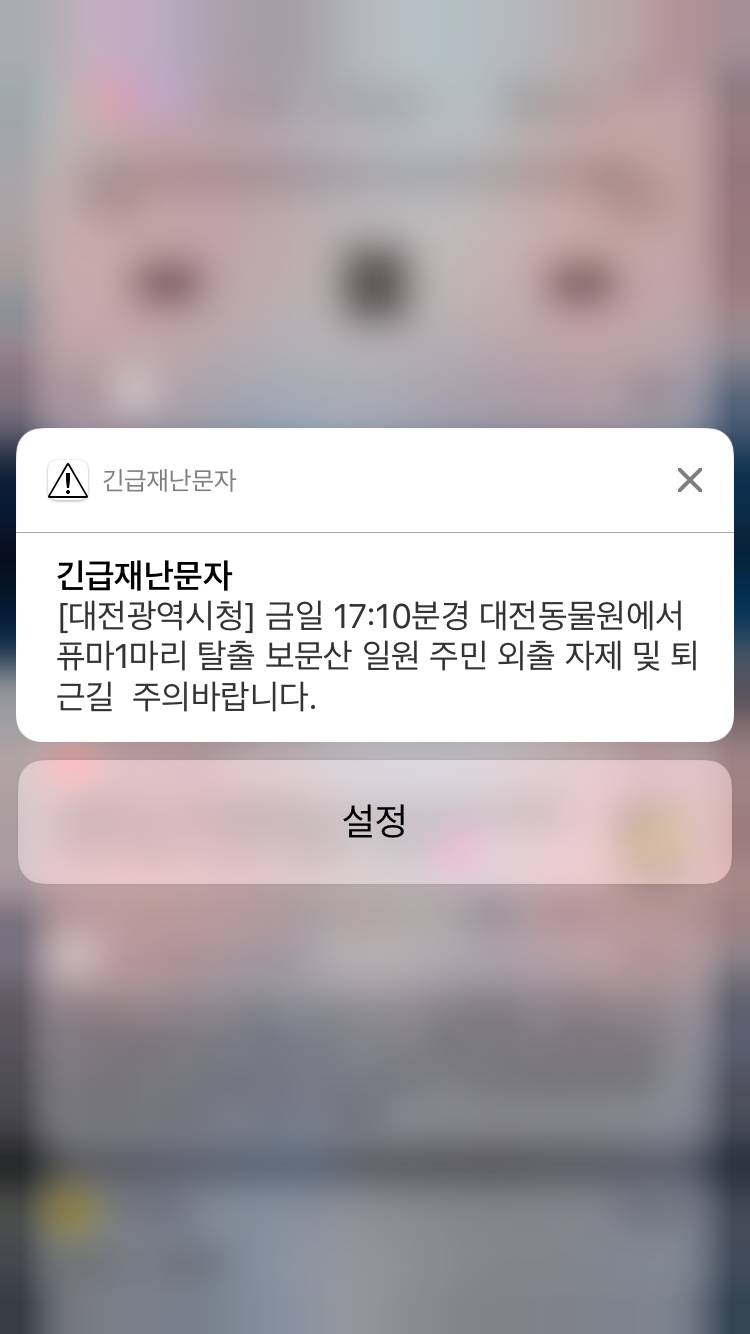 와 대전 동물원 퓨마 탈출했데 | 인스티즈