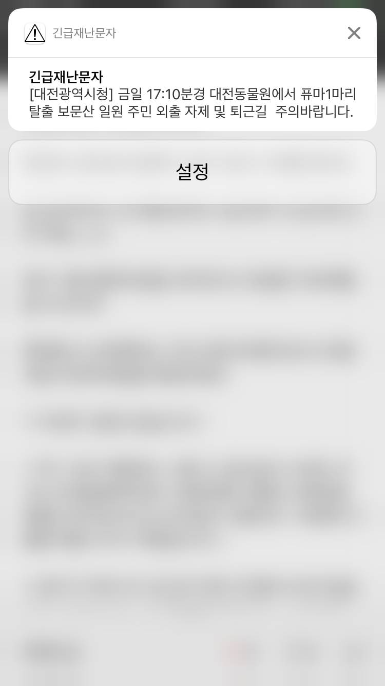 익들아 나 대전익인데 방금 재난문자 왔어 | 인스티즈