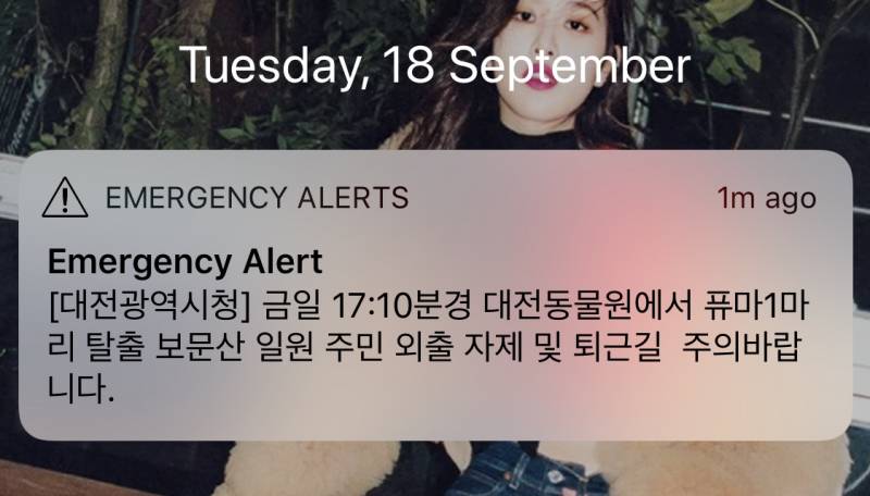 대전 퓨마 뭐야 | 인스티즈