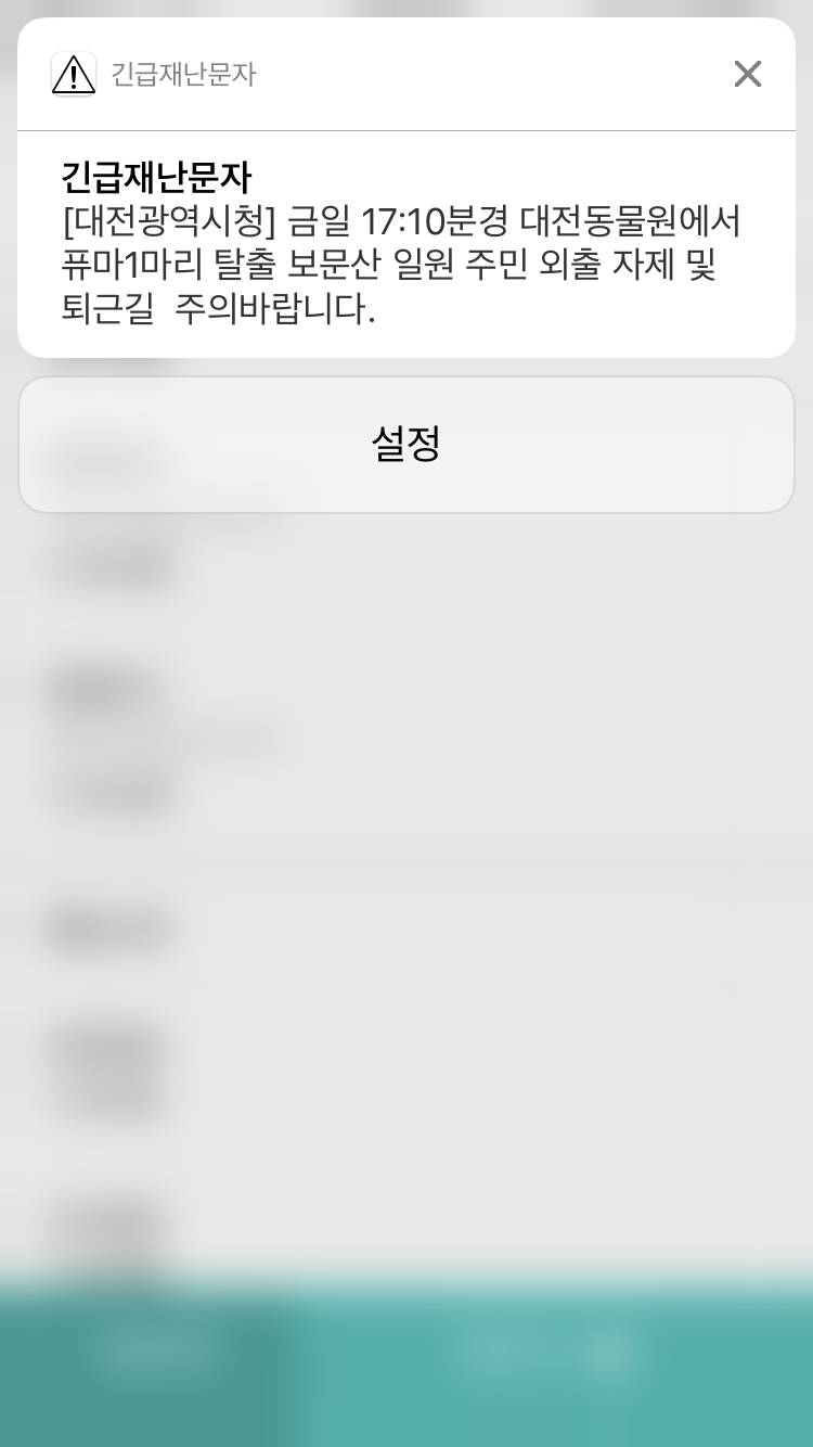 대박 대전에서 퓨마1마리 탈출했대 에바여 | 인스티즈