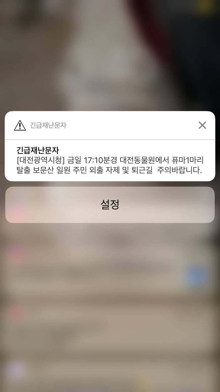 우리 집 옆에서 동물원 퓨마 탈출했대... | 인스티즈