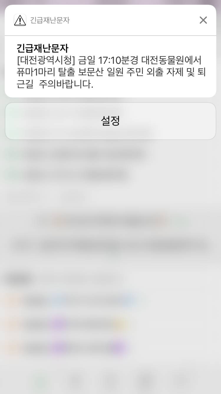 대전 대박쓰 | 인스티즈