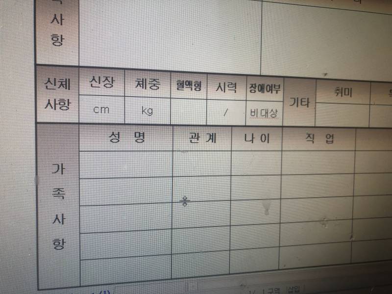 아 이력서 적기 넘 짜증나 | 인스티즈