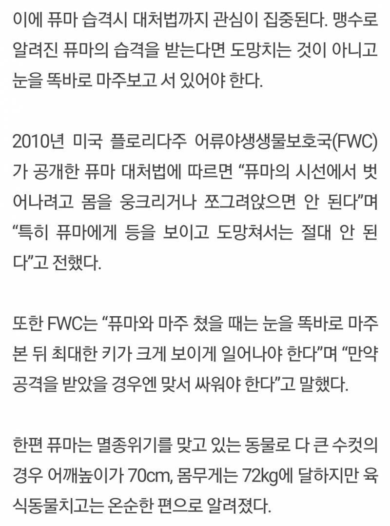 퓨마랑 마주치면 맞서싸우래ㅋㅋㅋㅋㅋㅋ | 인스티즈