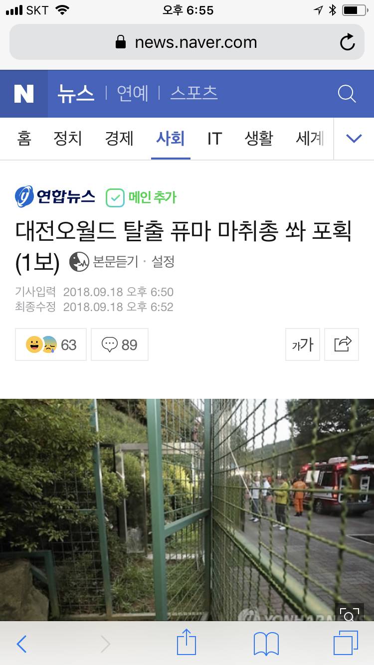 🌟퓨마 잡혔데!!!!!!🌟 | 인스티즈