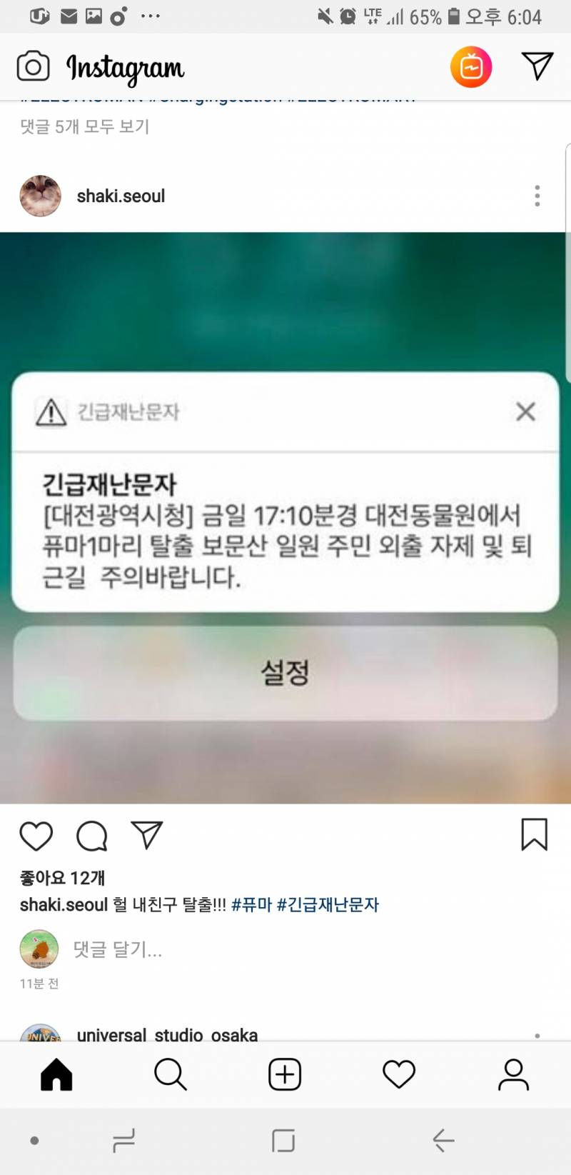 아. 퓨마 탈출했다는데 이 고양이 계정 팔로 취소해야겠음... | 인스티즈