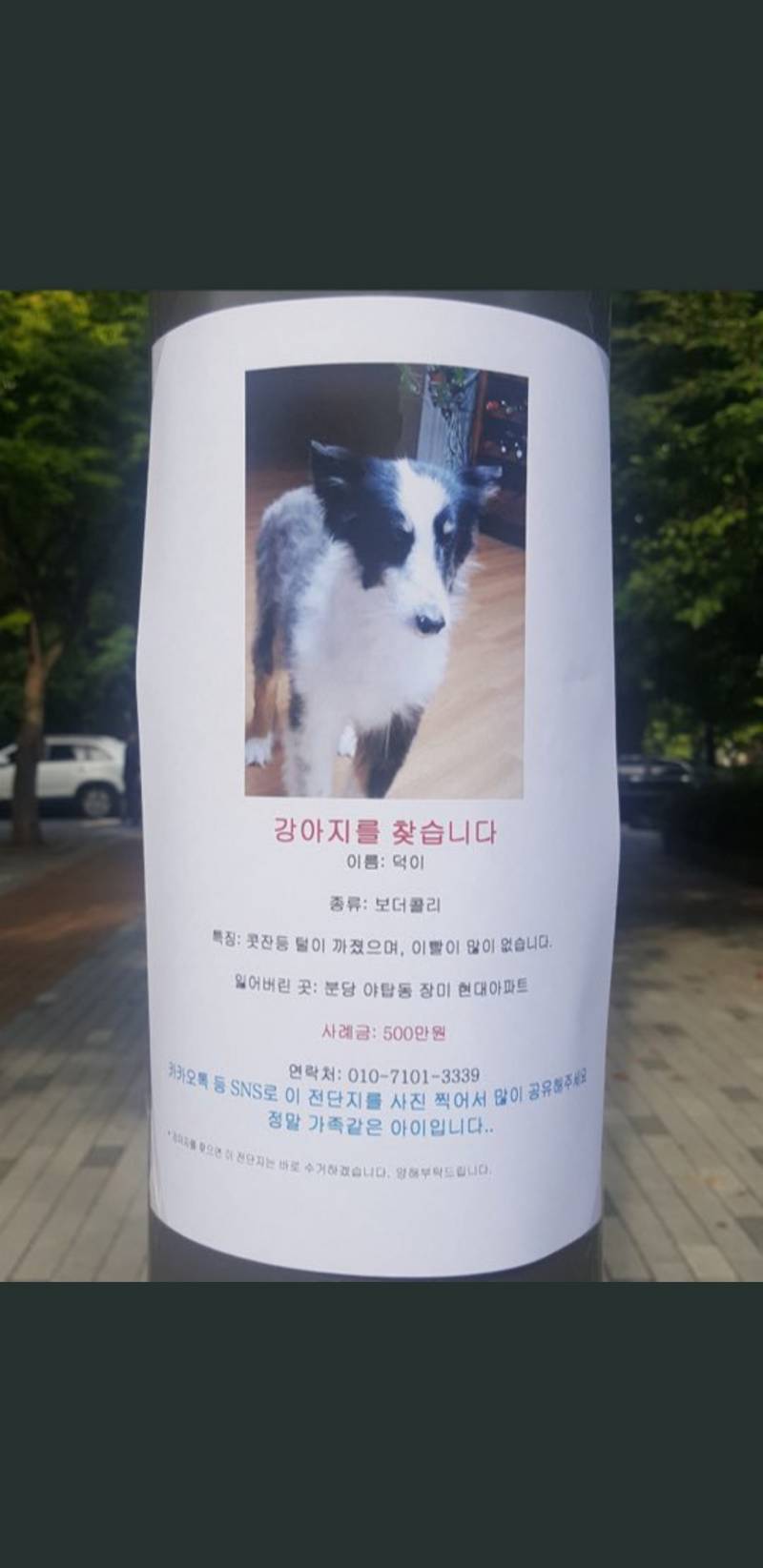 성남시 사는 익 있어? | 인스티즈