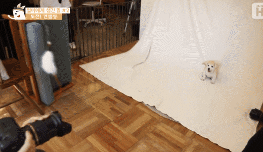 내가 볼 땐 이 세상 사람들 절미랑 다 짱친이고 나만 안 친한듯 | 인스티즈