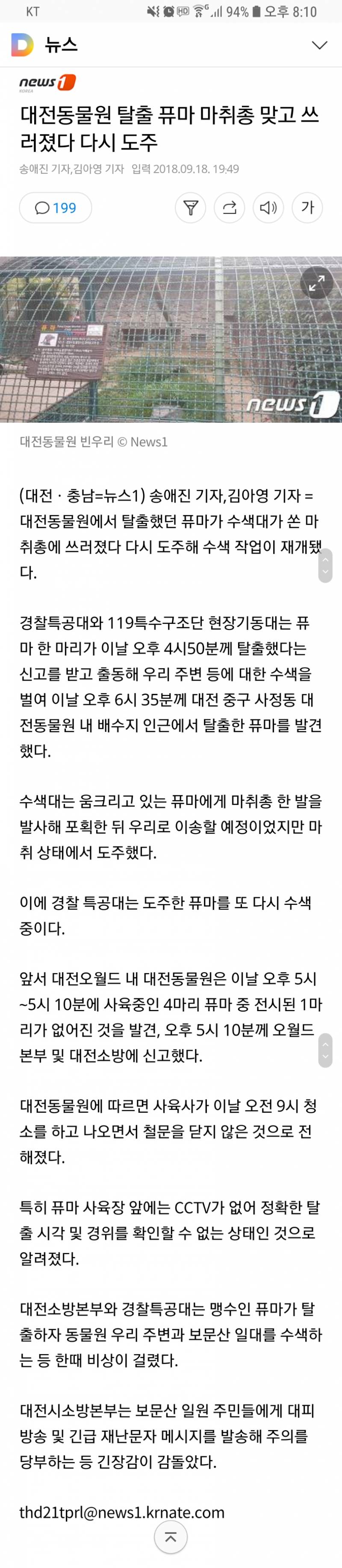 퓨마 마취총 맞고 다시 도주했다는디? | 인스티즈