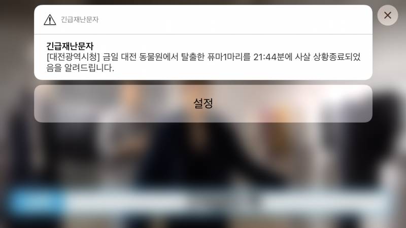 사살 에바ㅠㅠㅠㅠ | 인스티즈