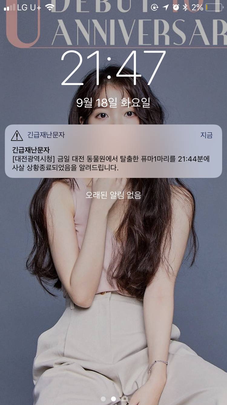 아.....사살 상황종료래...아 맘아파ㅠㅠㅠㅠㅠ | 인스티즈