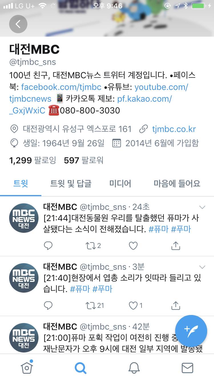 퓨마 사살 됐대 | 인스티즈