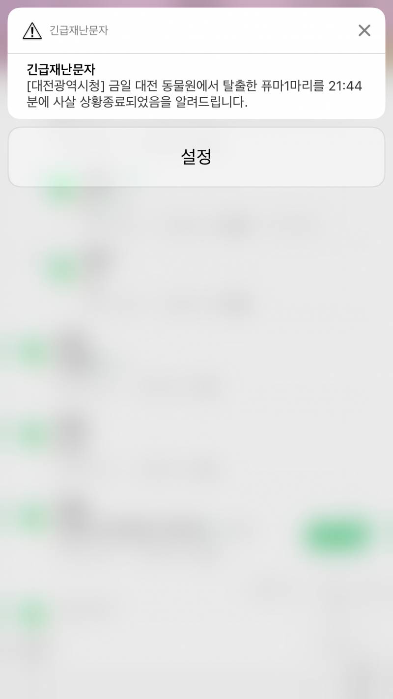 헐 퓨마 사살한거야?? | 인스티즈