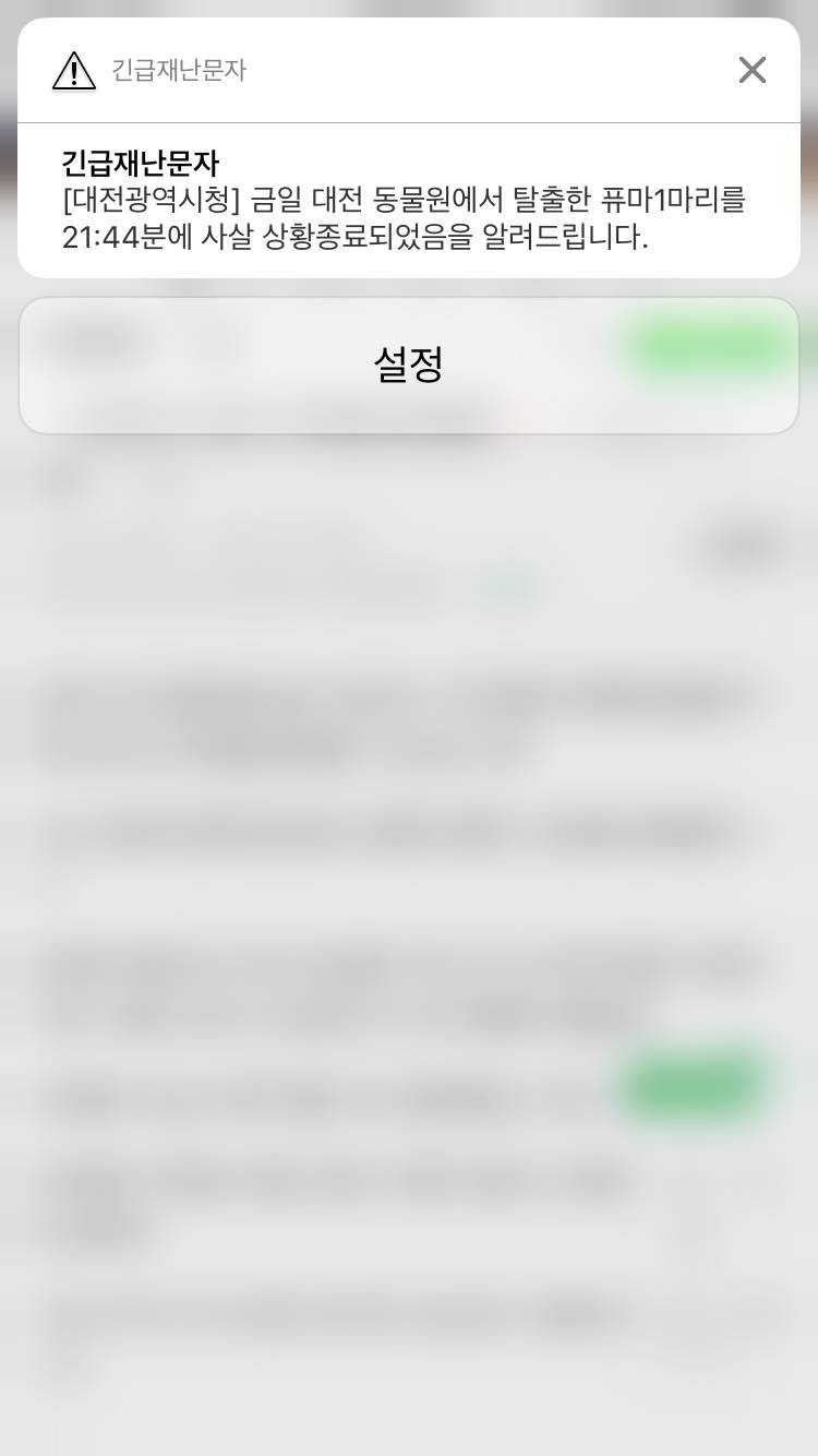 퓨마 사살이래.. | 인스티즈