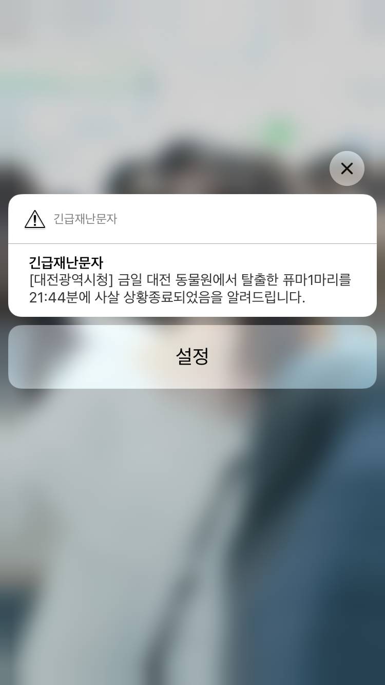 퓨마 사살했대 | 인스티즈