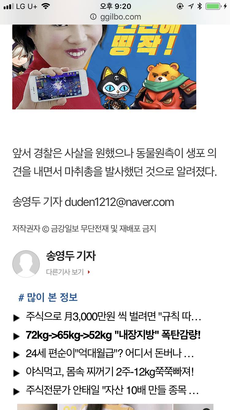 퓨마 사살 됐대 | 인스티즈