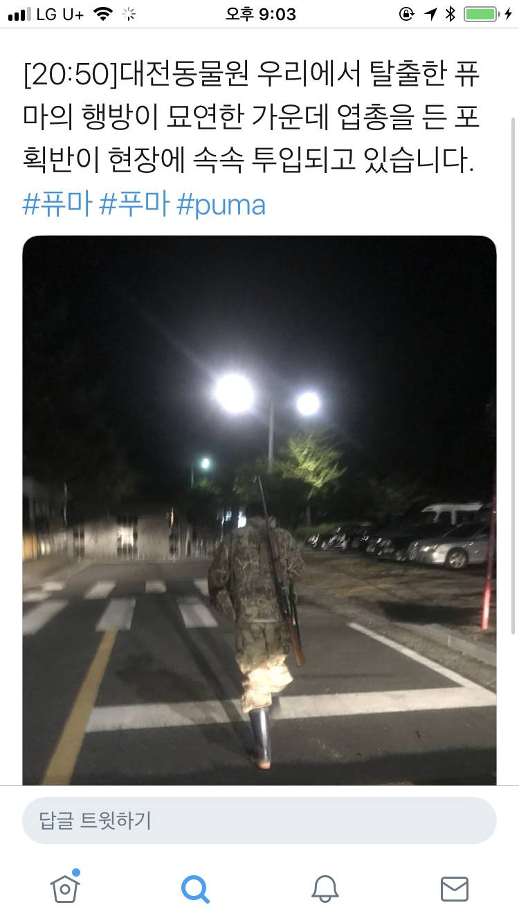 퓨마 사살 됐대 | 인스티즈