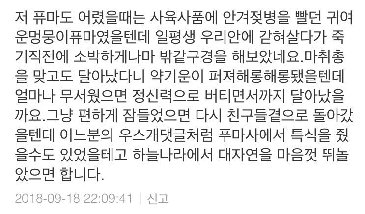 아 지금 이 댓글 보고 펑펑울고있어 미칠꺼같아 | 인스티즈