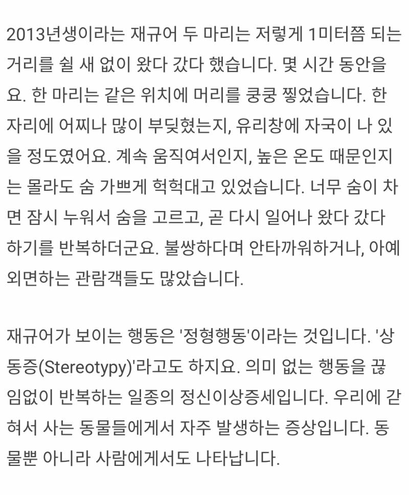 허술한 동물원 관련 기사 읽는데 맘 아프다 | 인스티즈