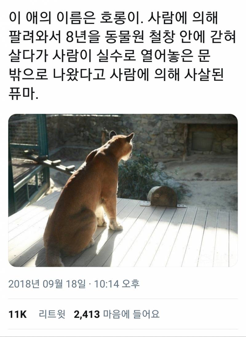 아 이거 너무 슬프다 | 인스티즈