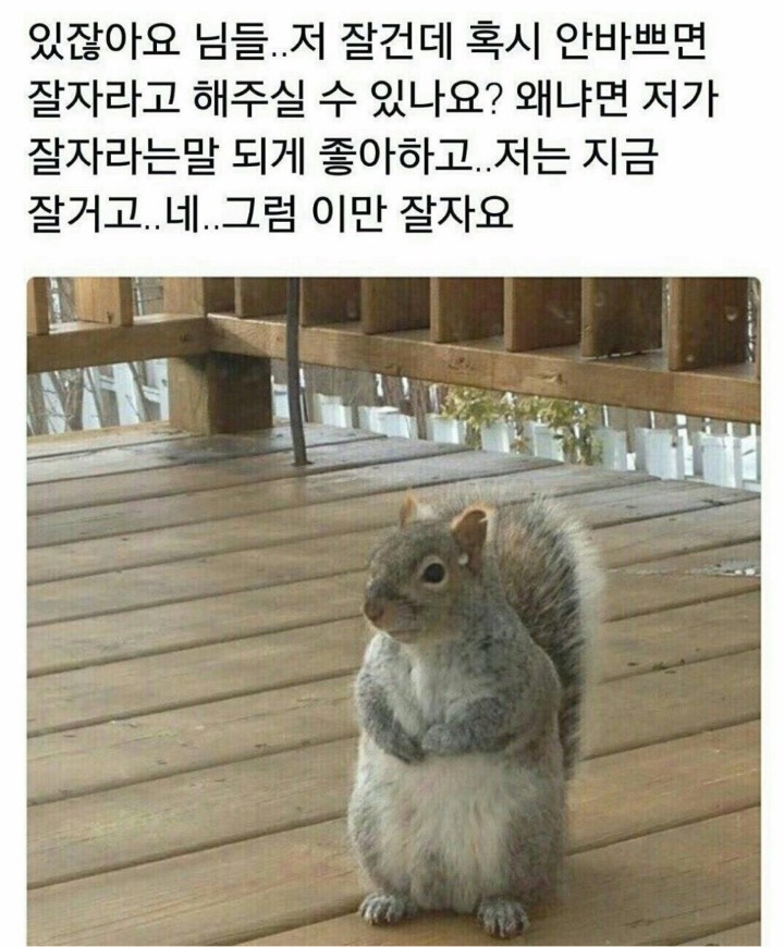 나 할 말 있어... | 인스티즈