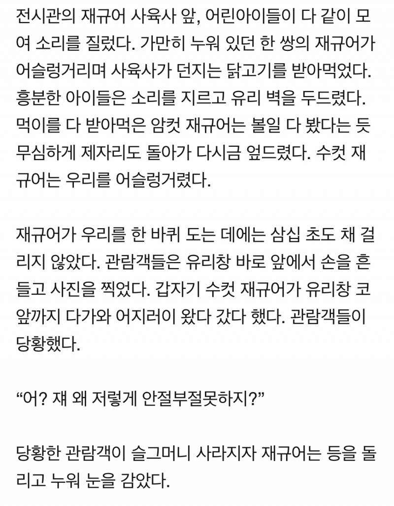 허술한 동물원 관련 기사 읽는데 맘 아프다 | 인스티즈