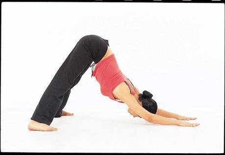 이 자세하면 다리살 빠진다길래 해보려고 했는데 너무 아파서 못따라하겠음 | 인스티즈