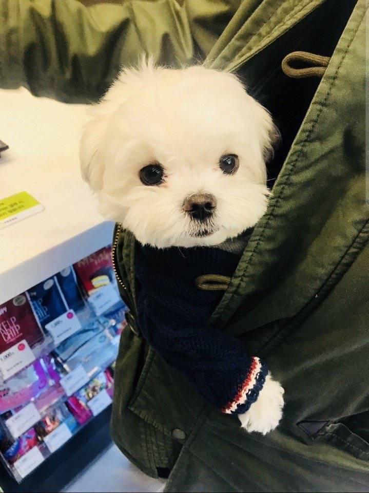 쓴이의 피어싱 40 | 인스티즈