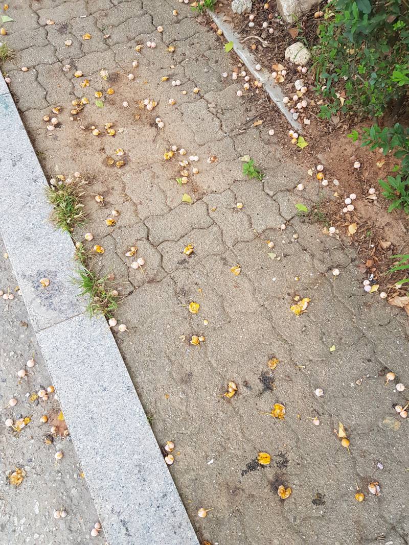 다들 사진에서 가을의 향기를 느껴봐 | 인스티즈