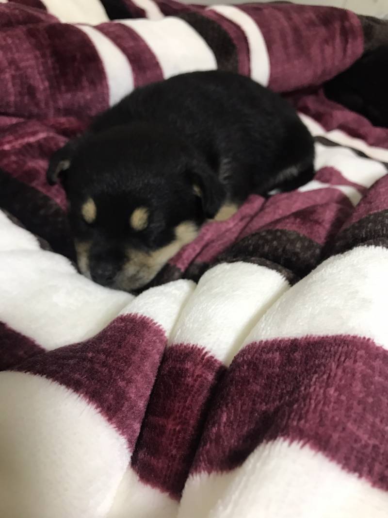 우리애기 자는모습4040 | 인스티즈