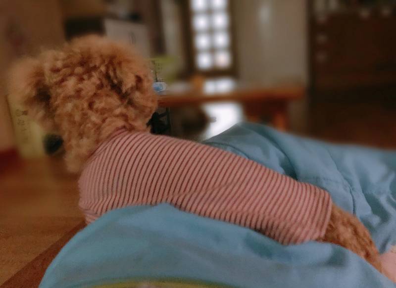 대체 왜 이러는건데ㅋㅋㅋㅋ | 인스티즈