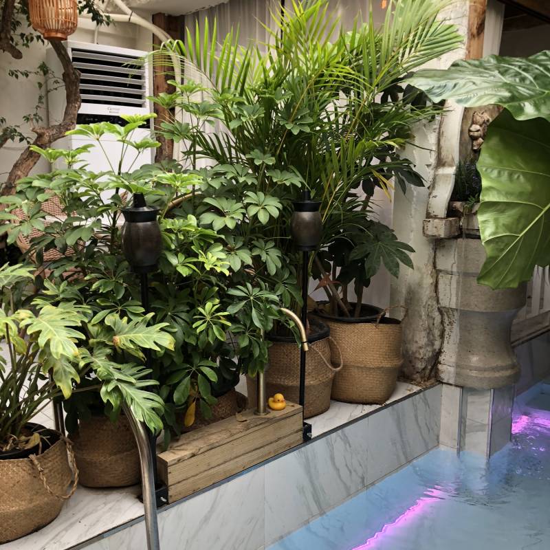 나 내가 생각해도 사진 진짜 잘 찍어 | 인스티즈