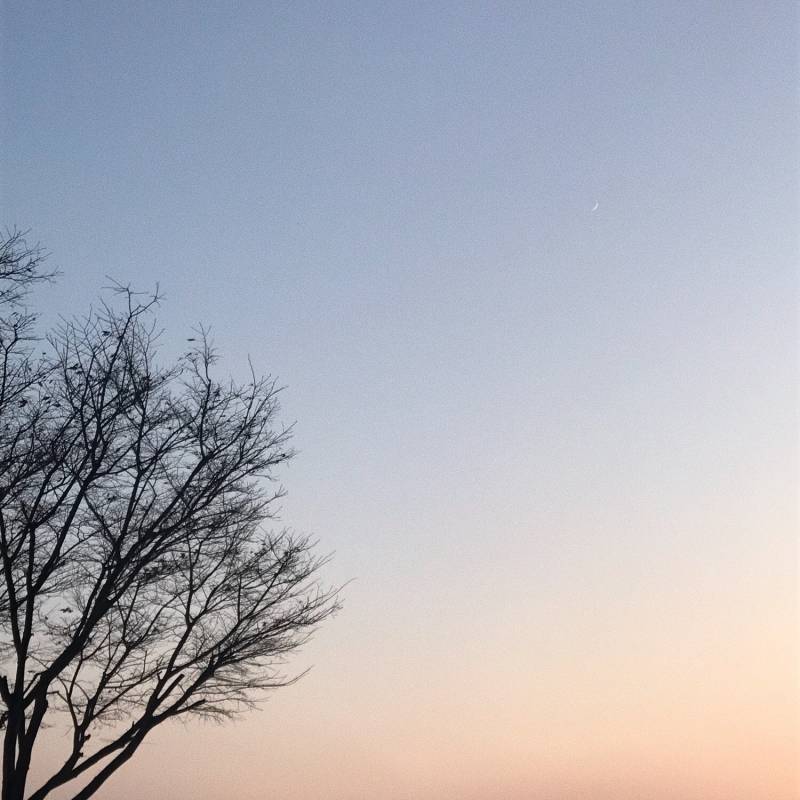 하늘이 너무 이쁜 사진 ㅠㅠ | 인스티즈