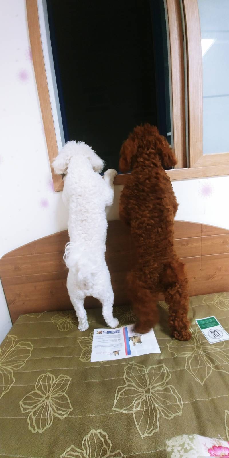 비켜봐 나도 좀 보자!ㅅ | 인스티즈