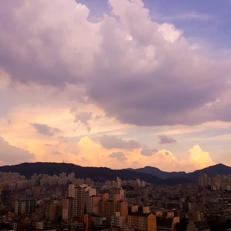 일상사진 찍는거 좋아하는 익들 이쏘? | 인스티즈