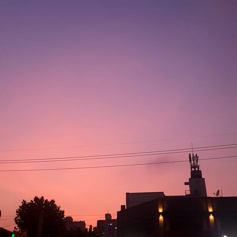 일상사진 찍는거 좋아하는 익들 이쏘? | 인스티즈