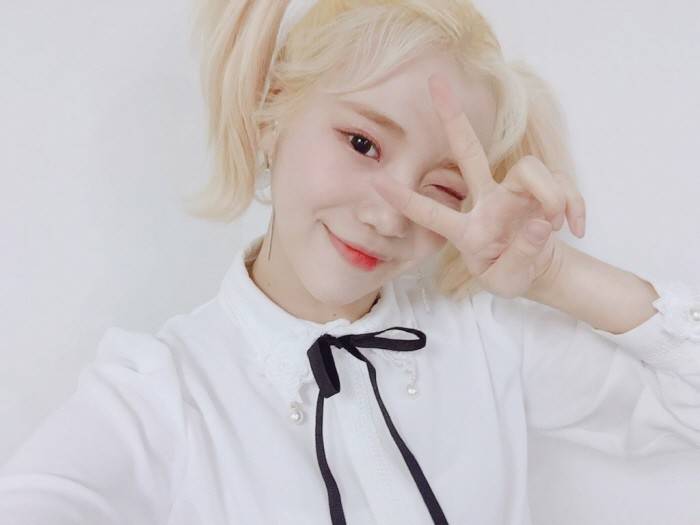 이 머리는 어떻게 묶는거야??? | 인스티즈