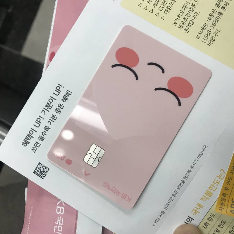 카카오페이 어피치카드 국민은행 마스터로고 때문에 고민하는 익들아!!!! | 인스티즈